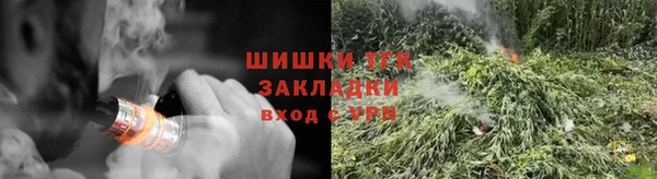 тгк Елизово