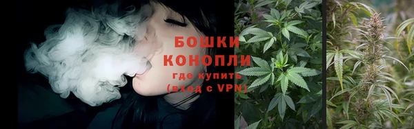 тгк Елизово