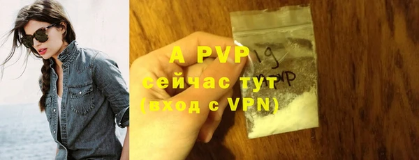 тгк Елизово