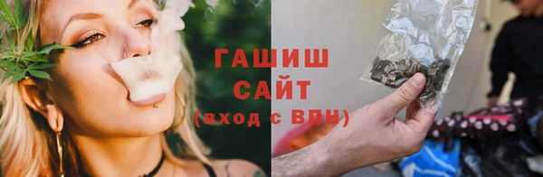 тгк Елизово