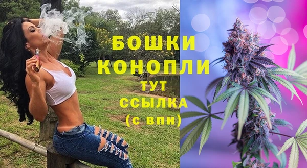 метамфетамин Ельня