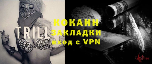 тгк Елизово