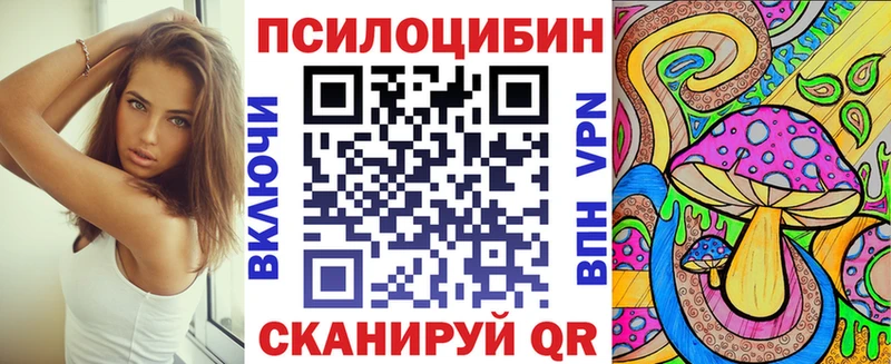Купить закладки  Киржач  Галлюциногенные грибы MAGIC MUSHROOMS 